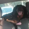 Melanie Pol - @melaniepol71 - TikTok