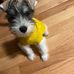 Melanie Powell - Facebook