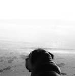 Melanie Pugh - Facebook