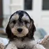 Melanie Pyle - @melanie.pyle14 - TikTok