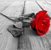 Melanie Renner - Facebook