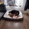 melanieriddle1 - @melanieriddle1 - TikTok