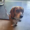 melanierider6 - @melanie.rider - TikTok