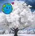 Melanie Ringer - Facebook
