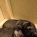 Melanie Roche - Facebook