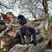 Mel Roller - Facebook