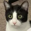 melanieeeruby - @melanieeeruby - TikTok