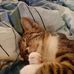 Melanie Rupp - Facebook
