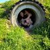 Melanie Schicker - Facebook