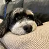 Melanie Schickler - @melanie_hoh2024 - TikTok