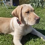 Melanie Schild - Facebook
