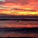 Melanie Selman - Facebook