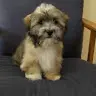 Melanie Sequeira - @user216505743 - TikTok