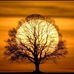 Melanie Selles - Facebook