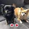 Melanie Schrader - @melanieschrader - TikTok
