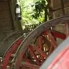 Melanie Singleton - @melanie.singleton - TikTok