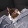 Mélanie._.sousa - @melanie._.sousa - TikTok