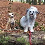 Melanie Stacey - @mellyc1967 - Instagram