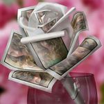 Melanie Starnes - @mrsmrd - Instagram
