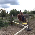 Melanie Steinberger - @meli_biene_miracle - Instagram