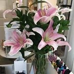 Melanie Stoddard - @blushsalonboutiquefishers - Instagram