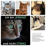 Melanie Strel Studer - @melanie.strel - Instagram