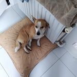 Mélanie Studer - @melateuch - Instagram