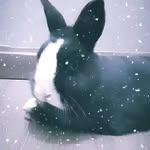 Stumpert - @melanie.stumpert - Instagram