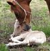 Melanie Tanner - Facebook