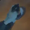 ahhh no fame - @melanie.valerio - TikTok