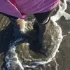 Penelope - @melanievernon365 - TikTok