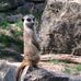 Melanie Weiner - Facebook