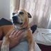 Melanie Jenkins-Weller - Facebook