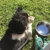 Melanie Weller - @melanie.weller - TikTok