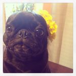 Melanie Westfall - @fromrubywithlovexo - Instagram
