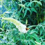 Melanie Westphal - @mwestphal254 - Instagram