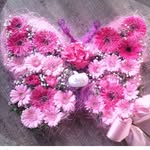 melanie westphal - @melli121417 - Instagram