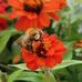 Melanie Wimmer - Facebook