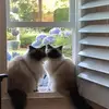 melaniewimmer86 - @melaniewimmer86 - TikTok