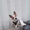 melaniewimmers955 - @melaniewimmers955 - TikTok