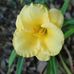 Mel Womack - Facebook