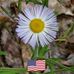 Melanie R. Kearsley Womack - Facebook