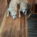 Melanie Heinl Workman - Facebook