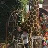 Melanie Workman Leetsch - @melanieworkmanlee - TikTok