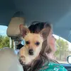 Melanie Wright - @melmoss5107 - TikTok