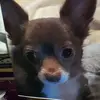 Melba Cantu457 - @melbacantu457 - TikTok