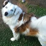Melba Evans - @melba.evans - Instagram