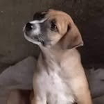 gabrielmelba - @melbagabriel71 - Instagram
