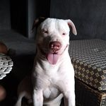 Melba Herrera - @melba.herrera.1004 - Instagram