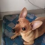 Melba Jimenez - @jimenez.melba - Instagram